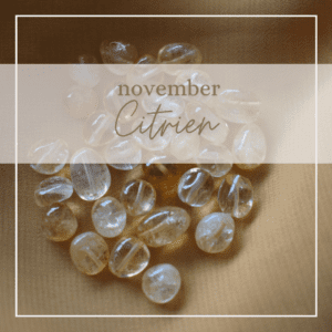 november ~ Citrien