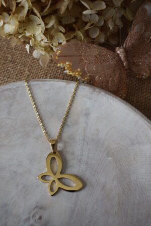 Juwelen met Vlinder