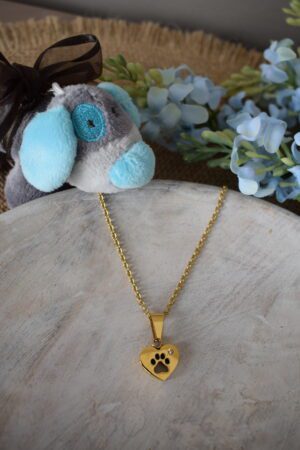 Halsketting stainless steel hartje met pootje ~ PO 001