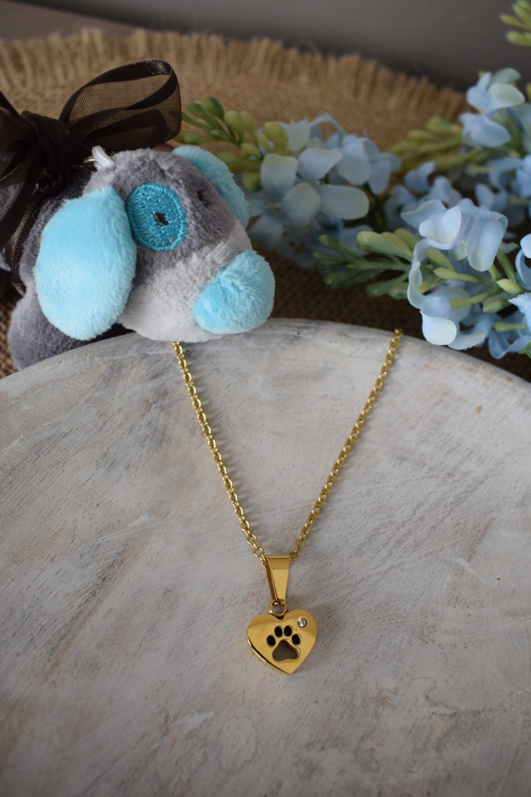 Halsketting stainless steel hartje met pootje ~ PO 001