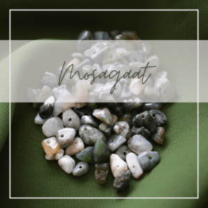 Mosagaat
