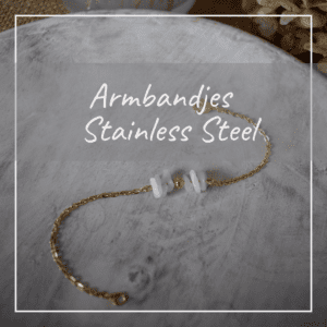 Armbanden stainless steel met edelstenen