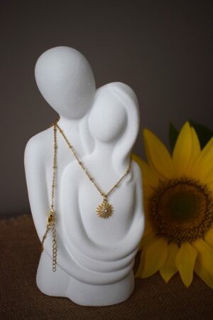 Halsketting stainless steel met luxe zonbedel ~ ZO 003