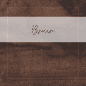 Bruin